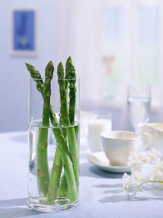 专业指南:解码未来10年最具潜力的七大行业之轻工、纺织、食品 专业指南:解码未来10年最具潜力的七大行业之轻工、纺织、食品